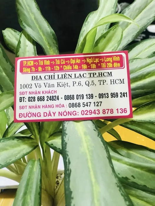 Biểu trưng nhà xe Thanh Nguyên